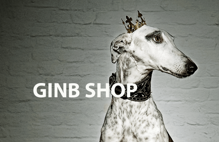 GINB Shop