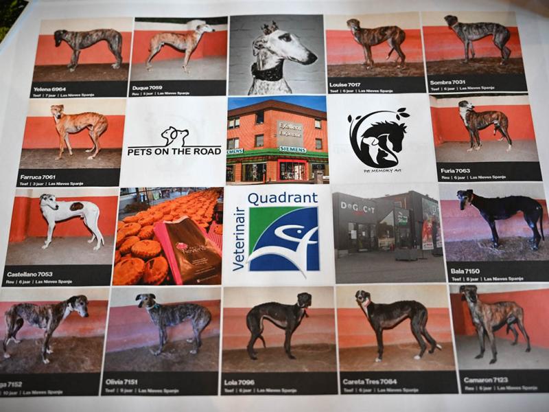 Pajottenland onderlegger