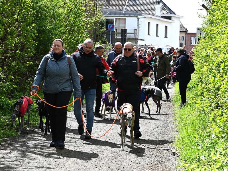 Pajottenland wandeling